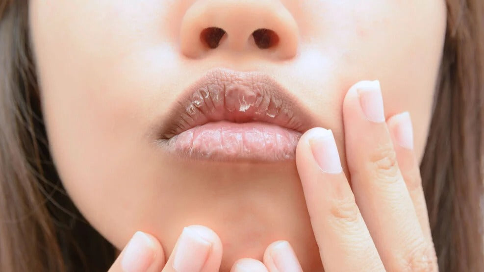 City Lips® Blush & Bold Bundle