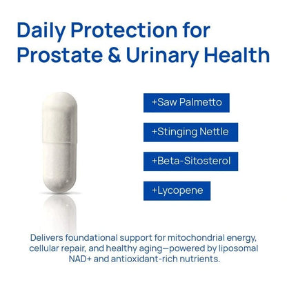Liposomal NAD+ for Men